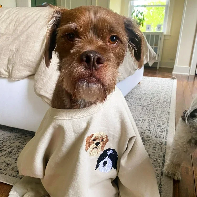 Custom Pet Portrait T-Shirt, Jumper & Hoodie