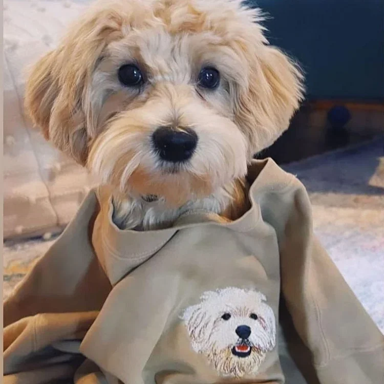 Custom Embroidered Pet Portrait Sweatshirt | Your Pet's Face on Your Chest