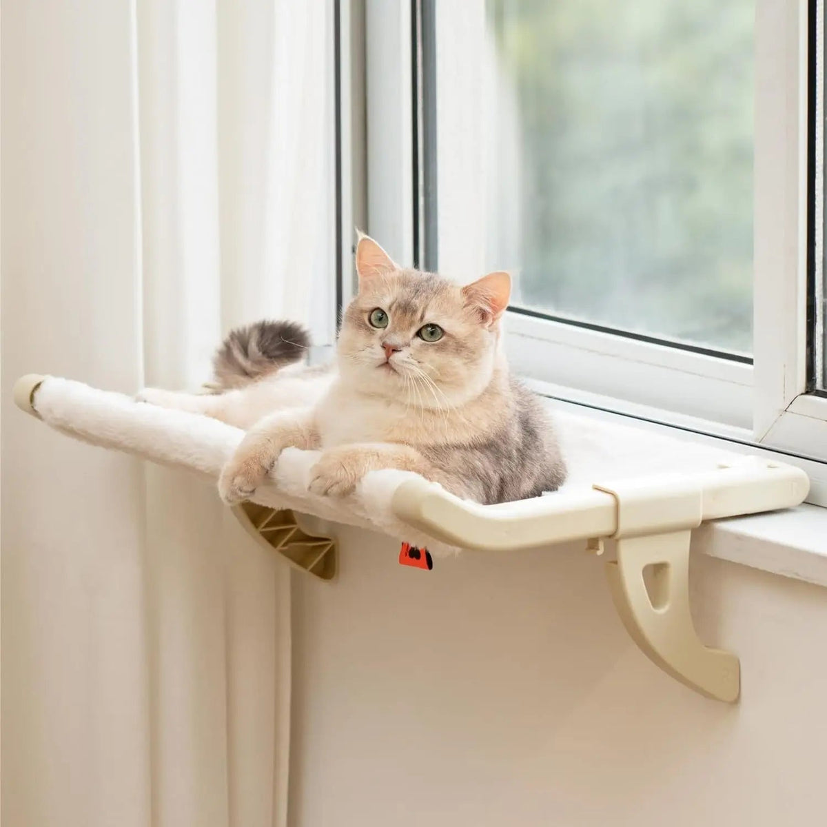 🐾 Hanging Pet Bed for Beds & Windows – Your Pet Always by Your Side