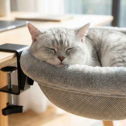 Desk Bed for Cats – Your Cat Always by Your Side 🐱