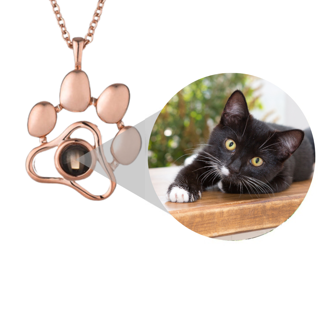 Personalised Pet Photo Projection Necklace