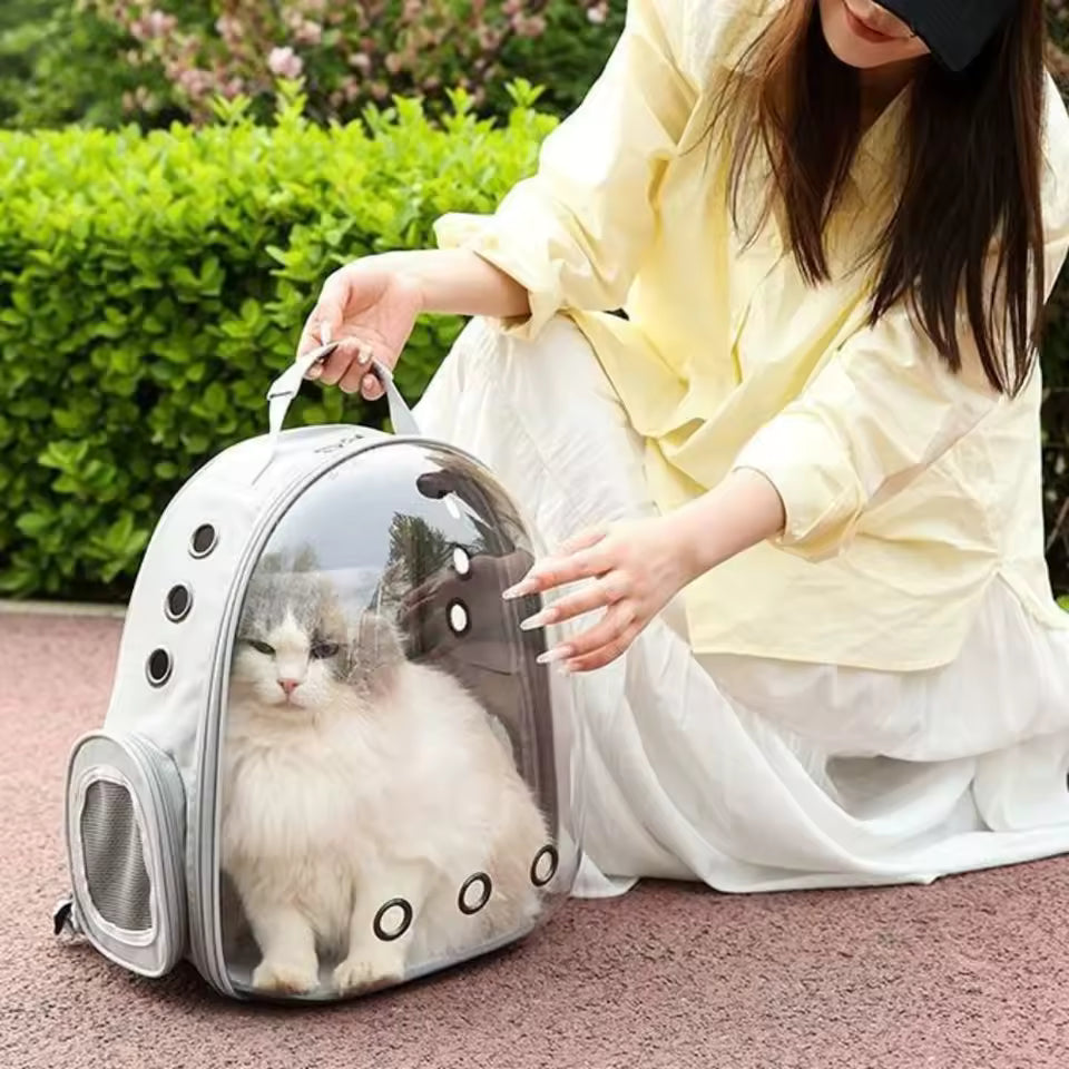 Astronaut Pet Backpack – Colo Pet