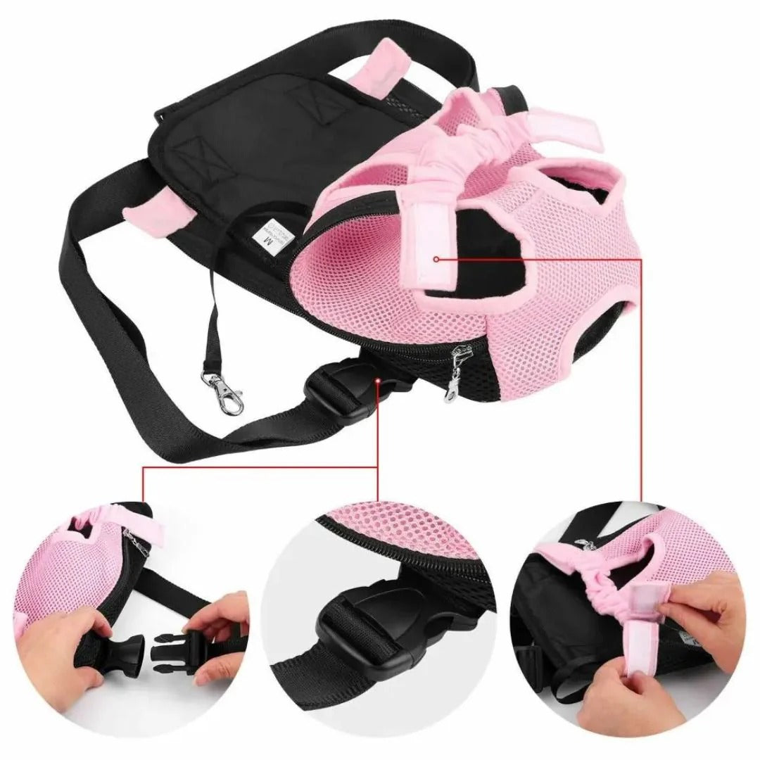 Front Pet Carrier Backpack – Colo Pet